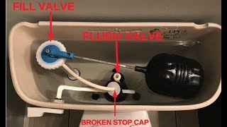 Replacing Fill Valve amp Flush Valve for Mansfield Toilet [upl. by Anileve]