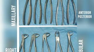 Dental Forceps  How to identify forceps Differences between maxillary amp mandibular forceps [upl. by Eldredge675]