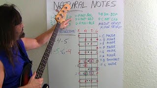 Bass Guitar For Beginners What Bassists Should Know [upl. by Oulman]