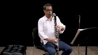 Instrument Bass Clarinet In Depth [upl. by Theis]