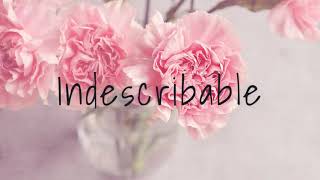 INDESCRIBABLE  INSTRUMENTAL [upl. by Jarib]