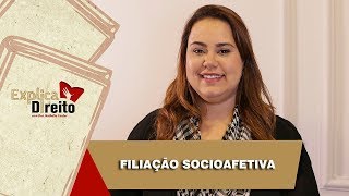 Explica Direito Filiação Socioafetiva  2019 [upl. by Ariela]