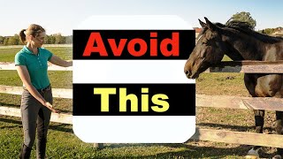 BEGINNER HORSE RIDING MISTAKES  TOP 10 🐴 [upl. by Mloc]