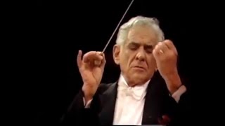 Gustav Mahler  Adagietto  Leonard Bernstein 4K [upl. by Otnas]