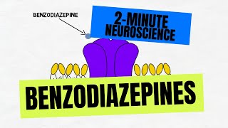 2Minute Neuroscience Benzodiazepines [upl. by Inirt]