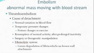 Hemodynamic Disorders [upl. by Nerua]