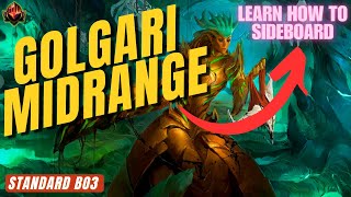 MTG Standard Golgari Midrange Sideboard Guide [upl. by Rogovy]