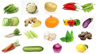 Learn Vegetable Names with Pictures for Children Kids in English  Navya Kid Tv [upl. by Royal]