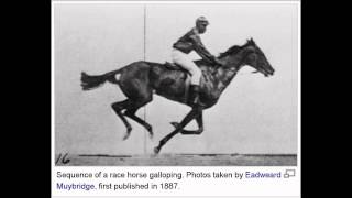 Horse Racing  Early Film Slow Motion Photography  1887 [upl. by Ibby]