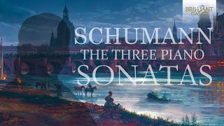 Schumann The Three Piano Sonatas [upl. by Legnaleugim]