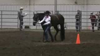 4H Western Horse Showmanship [upl. by Ecilahc68]