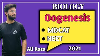 Oogenesis  NMDCAT 2021 [upl. by Rozalin]