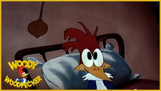 Woody Woodpecker  The Coo Coo Bird  Full Episodes [upl. by Lowis125]