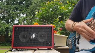 Phil Jones Bass Double Four unboxing and review [upl. by Benjamen89]