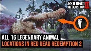 ALL 16 Legendary Animal Locations in Red Dead Redemption 2 [upl. by Chard]