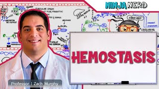 Hematology  Hemostasis Coagulation Cascade [upl. by Alyos]