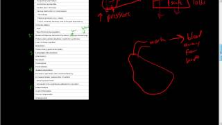 42Hemodynamic DisordersEdemaIncreased Hydrostatic Pressure [upl. by Naot473]