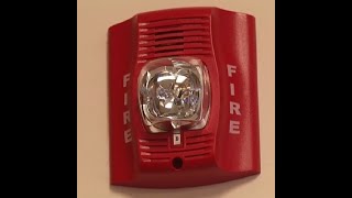 10 HOUR SCHOOL FIRE DRILL ALARM SOUND [upl. by Schoening723]