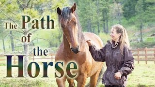 The Path of the Horse  Full Length documentary [upl. by Haggai]