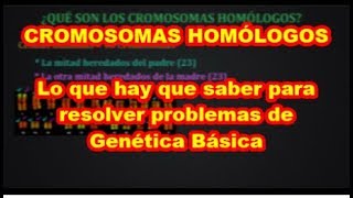 CROMOSOMAS HOMÓLOGOS Biología Genética [upl. by Lesoj191]