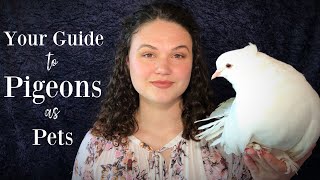 Your Guide to Pigeons as Pets [upl. by Thorny927]