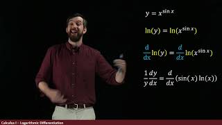 Logarithmic Differentiation  Example xsinx [upl. by Yelhs612]