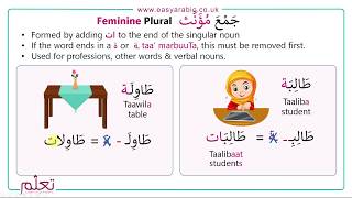 Beginners Arabic  Lesson 14  Arabic Plurals [upl. by Ishmael]