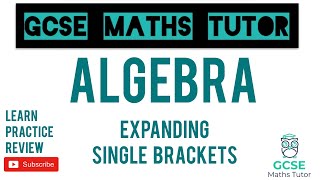 Expanding Single Brackets Higher amp Foundation  GCSE Maths Tutor [upl. by Oleusnoc]