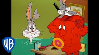 Looney Tunes  Lets Give Gossamer a Hairdo  Classic Cartoon  WB Kids [upl. by Drhacir]