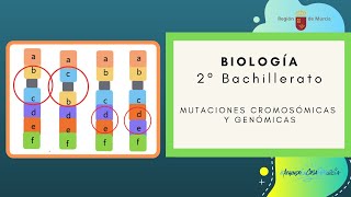 MUTACIONES CROMOSÓMICAS Y GENÓMICAS [upl. by Niltak121]