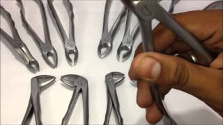 Tooth Extraction Forceps  Upper and Lower 12 Forceps Kit  GDC [upl. by Anelrahs]