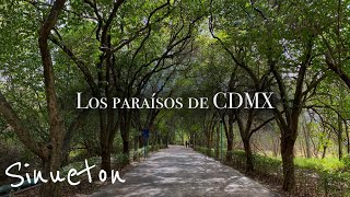 6 Lugares de CDMX donde olvidarás que existe el Caos [upl. by Phylis198]