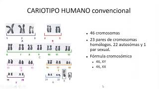 Anomalías cromosómicas Parte 1  Profundizaciones [upl. by Redienhcs]