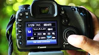 EXCELLENT CANON SPORTS PHOTOGRAPHY SETTINGS [upl. by Ilrak]