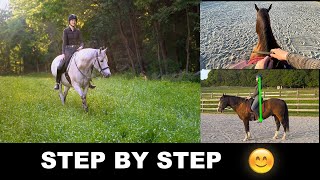 HOW TO RIDE A HORSE FOR BEGINNERS STEP BY STEP 🐎 [upl. by Jocko]