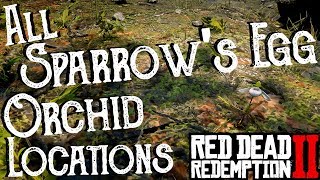 Red Dead Redemption 2  All 25 Sparrows Egg Orchid Locations Duchesses and Other Animals Exotics [upl. by Jenni901]