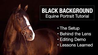 Black Background Equine Portrait Tutorial [upl. by Suzanne281]