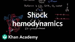 Shock  hemodynamics  Circulatory System and Disease  NCLEXRN  Khan Academy [upl. by Minabe]