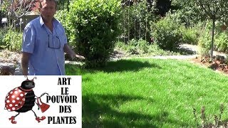 Tuto Jardinage Comment faire un gazon Semis de gazon [upl. by Itsirhc]