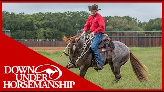 Clinton Anderson How to Handle a Fresh Horse  Downunder Horsemanship [upl. by Kantor]