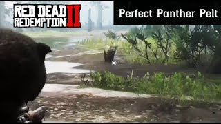 Where To Find A Panther  Red Dead Redemption 2 Perfect Pelt Location Guide RDR2 [upl. by Cung657]