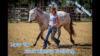 How To Start Liberty Training With Your Horse Basic Exercises Part 1 [upl. by Onivag]