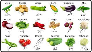 Vegetable Names in English and Urdu  سبزیوں کے نام [upl. by Helmut]