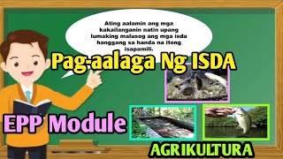 Pagaalaga ng Isda  quotFishpondquot EPP Module Agrikultura [upl. by Arek]