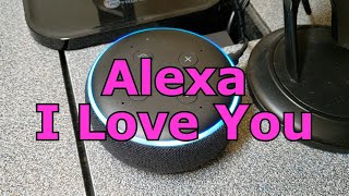 Alexa I love you  Just for fun guys 😀 [upl. by Wittie916]